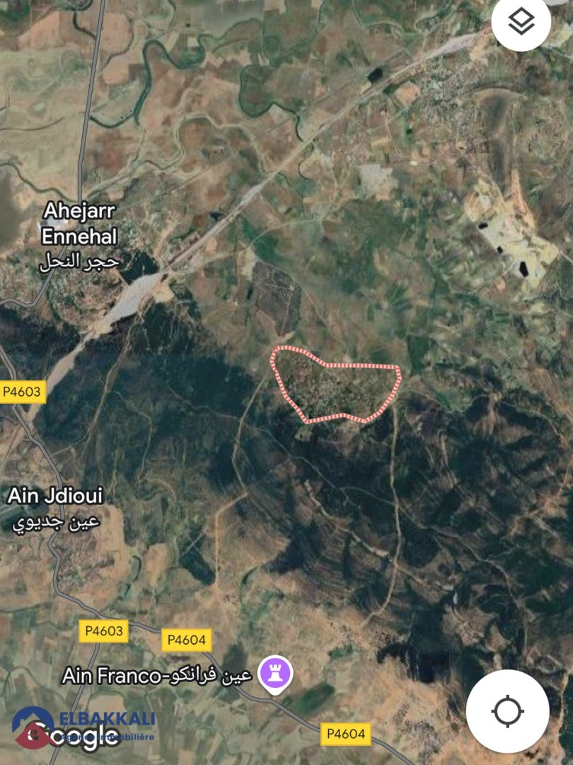 Agricultural Land Title for Sale in Tangier 183ha - Photo 1