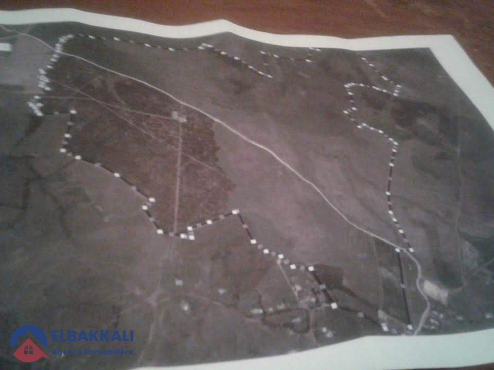 Agricultural Land Title for Sale in Tangier 183ha - Photo 5