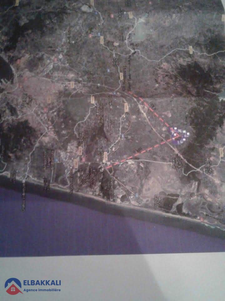 Agricultural Land Title for Sale in Tangier 183ha - Photo 3