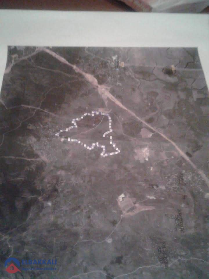 Agricultural Land Title for Sale in Tangier 183ha - Photo 4