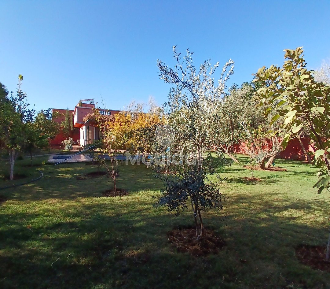 Dream Villa in Marrakech: Pool, Garden, and Luxury Terrace - Photo 16
