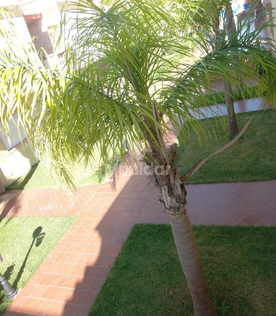 Duplex à Él Jadida : 2 Chambres, Piscine et Balcon - Photo 14