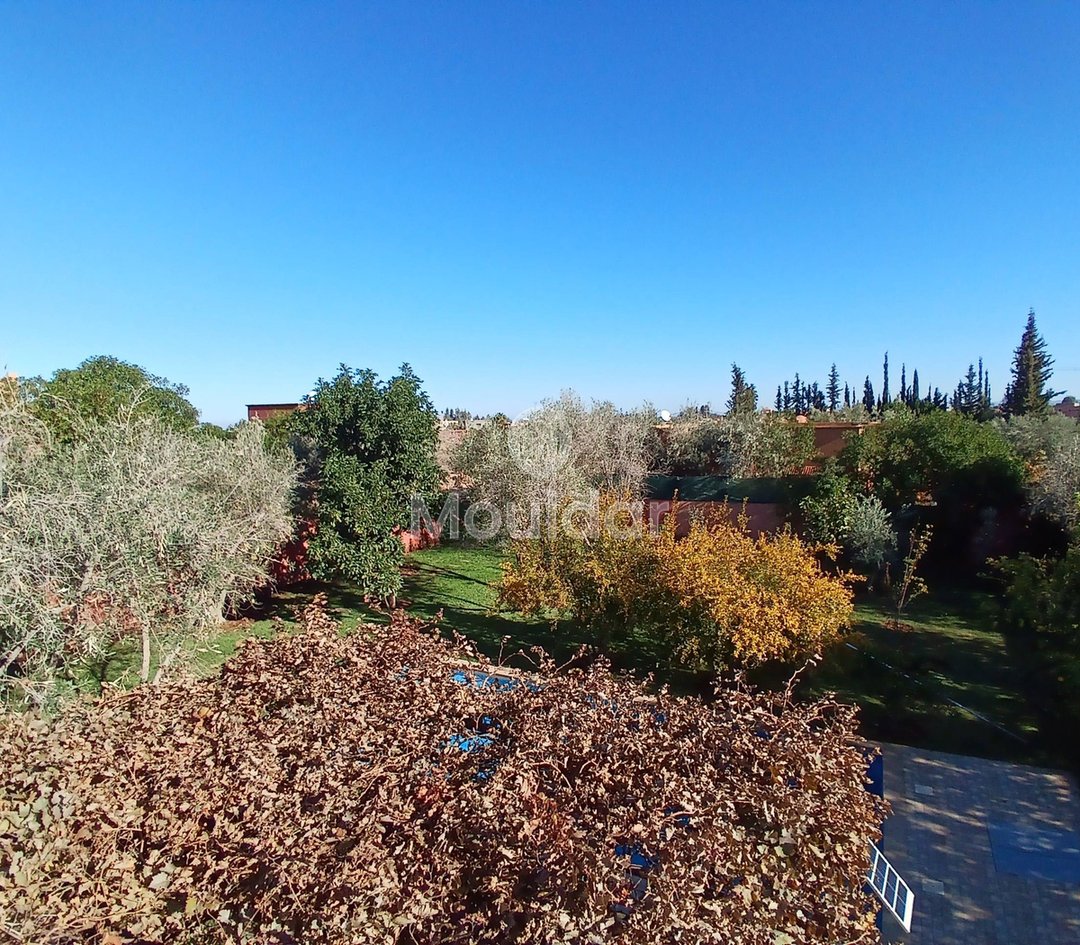 Dream Villa in Marrakech: Pool, Garden, and Luxury Terrace - Photo 11