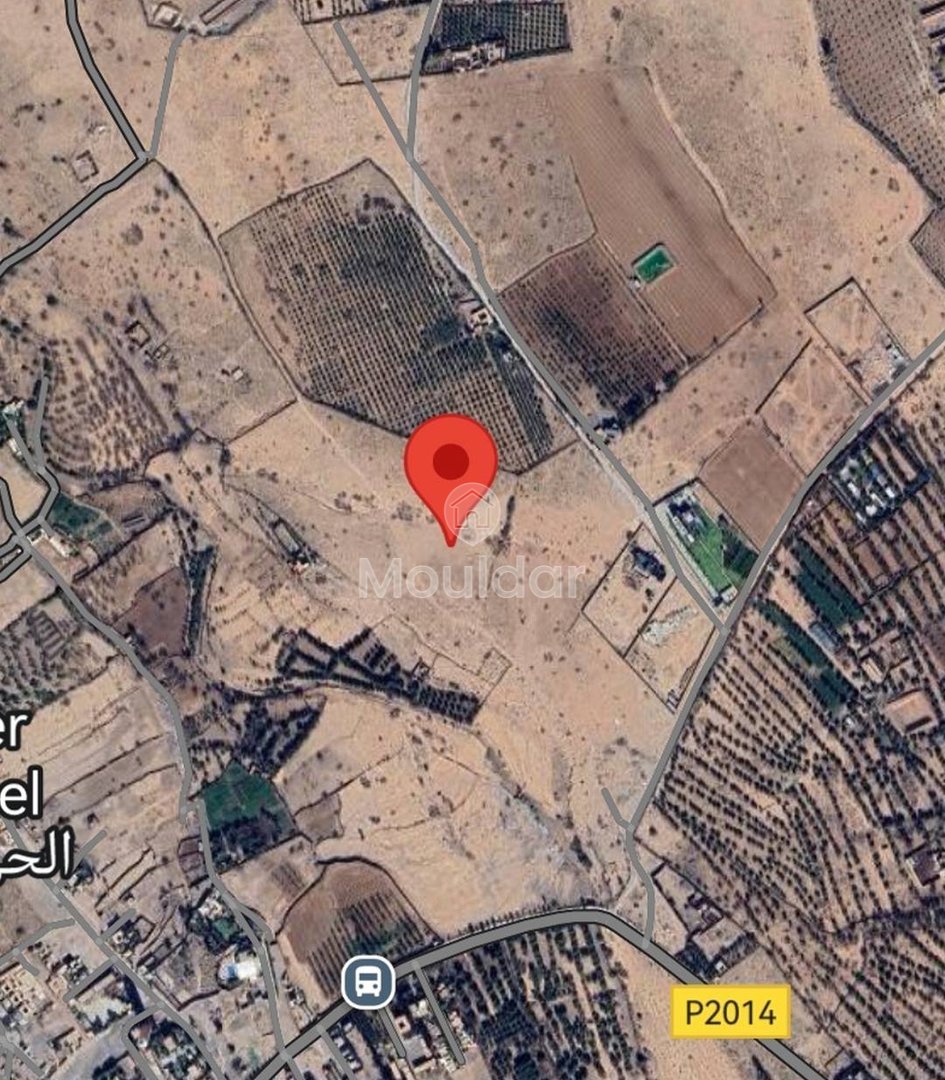 Agricultural Land for Sale: 10,000 m² in Marrakech - Photo 2