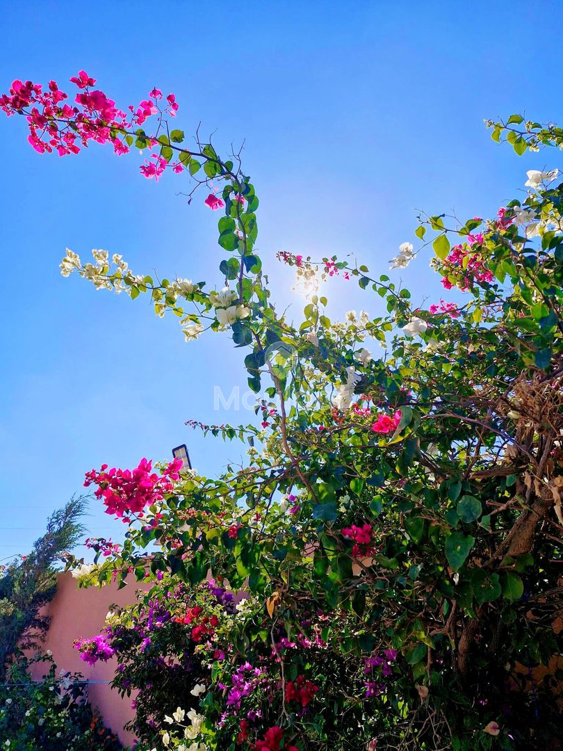 Βίλα Πολυτελείας προς Πώληση στο Μαρακές: Χώρος και Άνεση - Photo 12