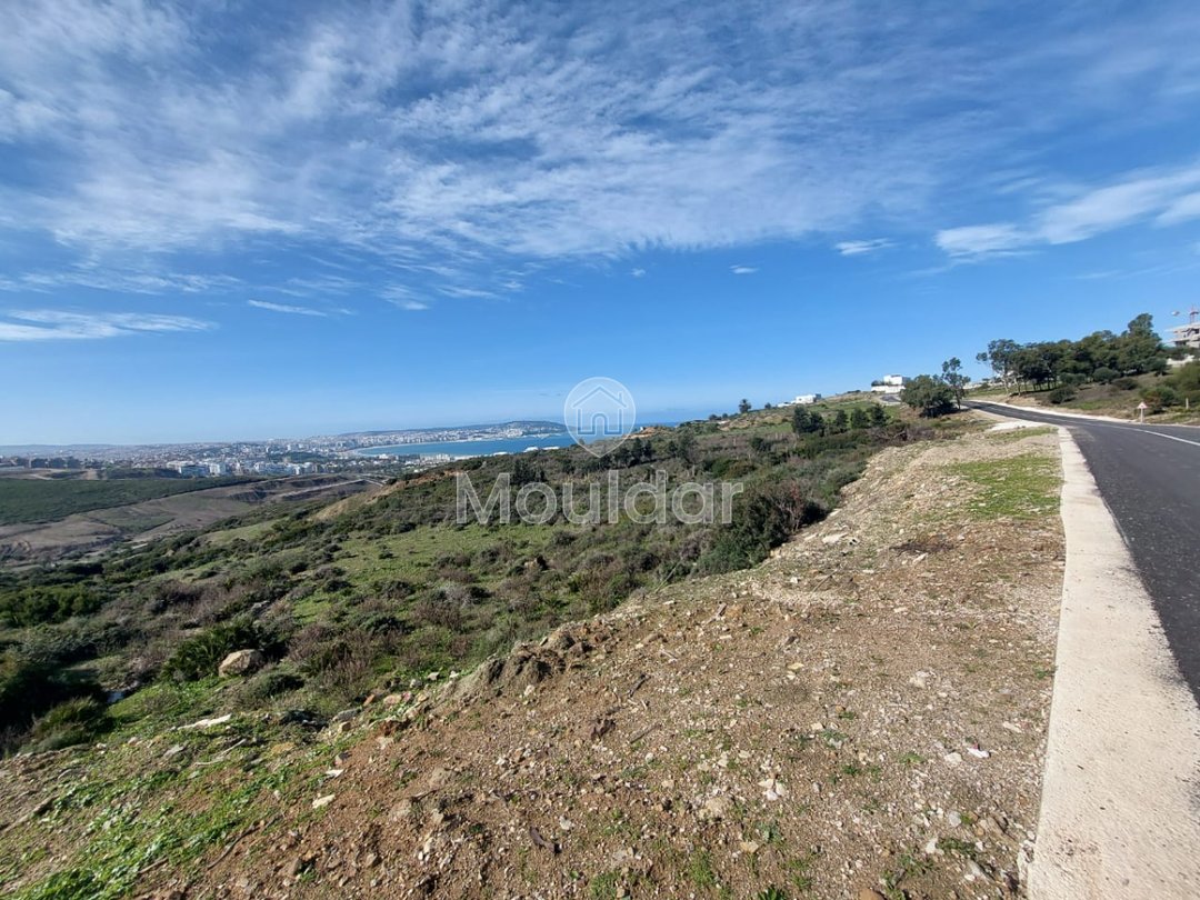 Villa Plot for Sale: 4000 m² in Nouinouiche - Photo 5