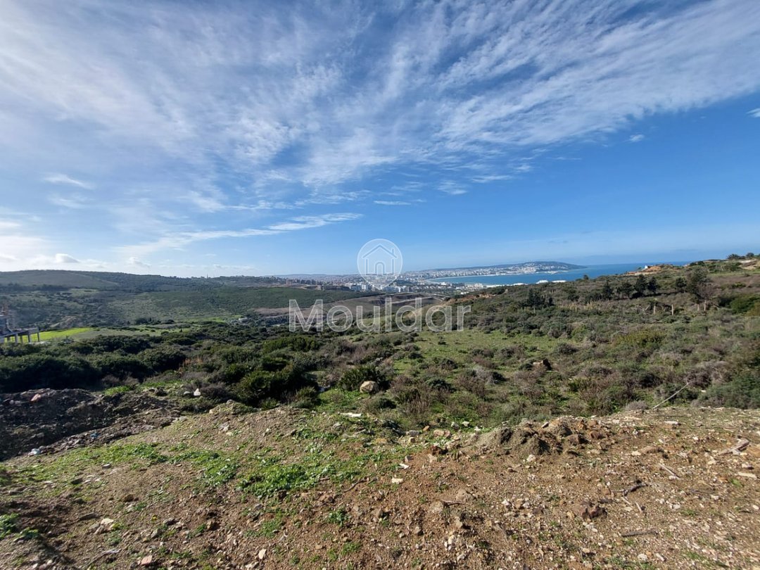 Villa Plot for Sale: 4000 m² in Nouinouiche - Photo 2