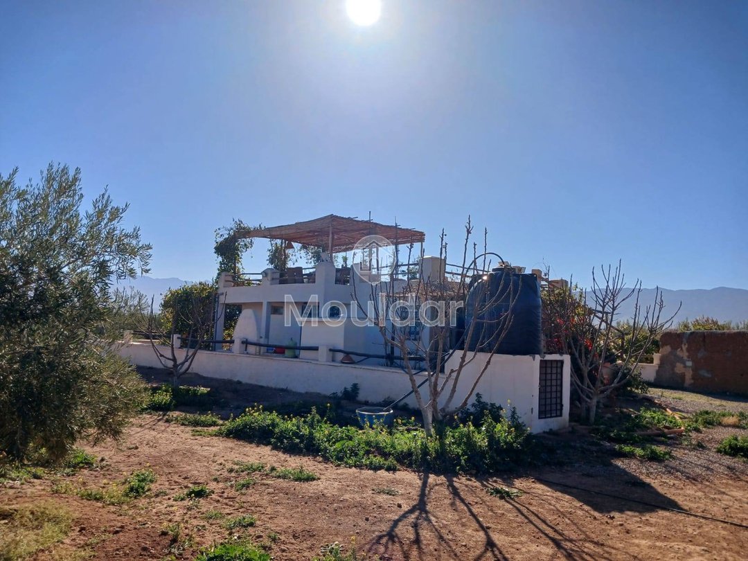 Fermă de Vânzare: 100.000 m² în Marrakech, Amezmiz - Photo 7