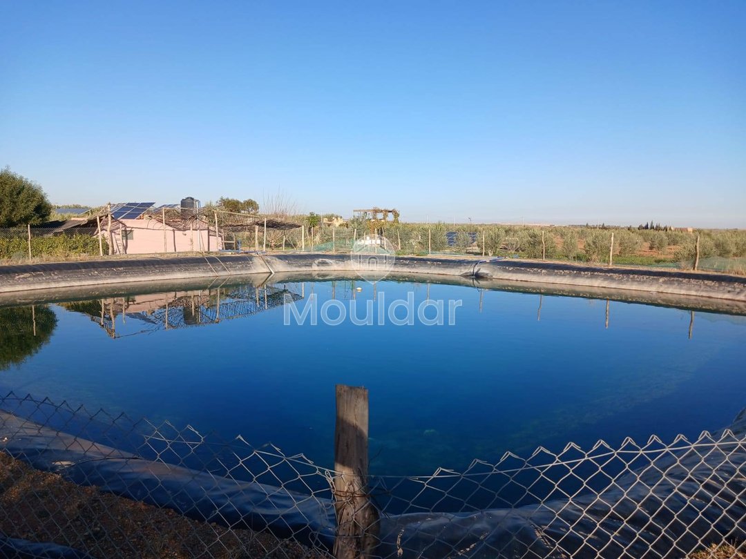 Fermă de Vânzare: 100.000 m² în Marrakech, Amezmiz - Photo 5