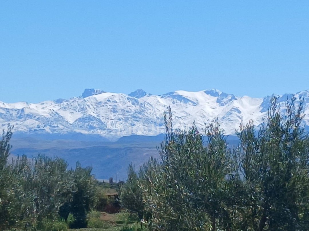 Fermă de Vânzare: 100.000 m² în Marrakech, Amezmiz - Photo 4