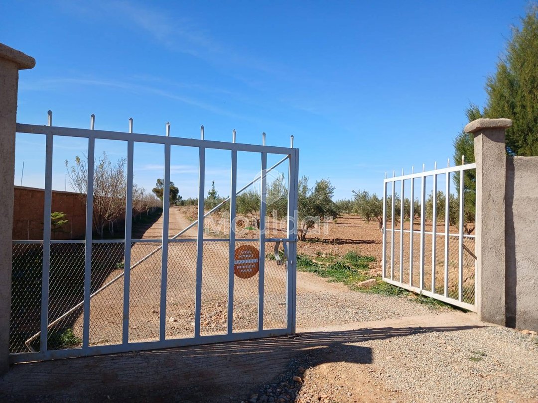 Fermă de Vânzare: 100.000 m² în Marrakech, Amezmiz - Photo 1