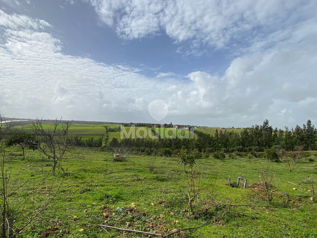 Ferma de vânzare în Rabat - Photo 5