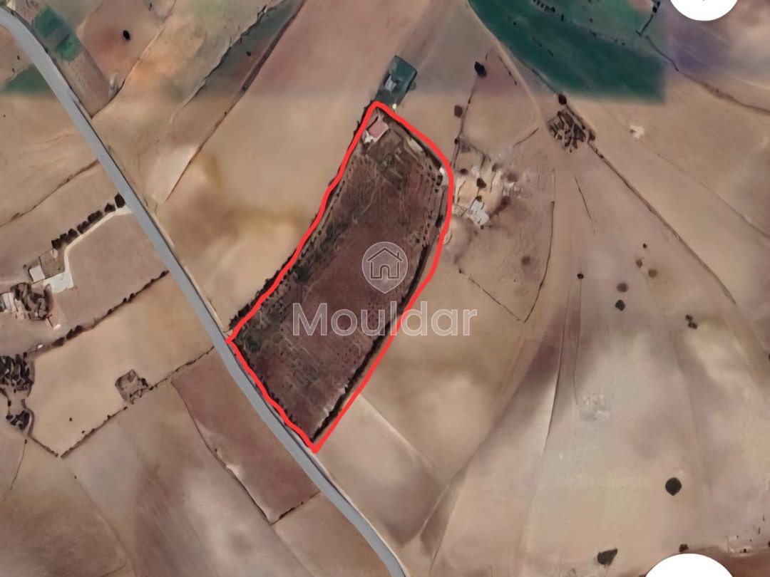 Ferma de vânzare în Rabat - Photo 11