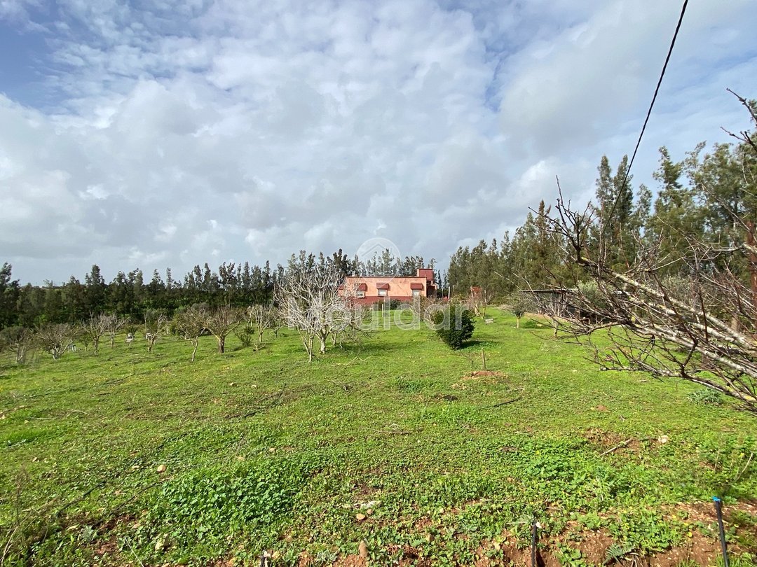 Ferma de vânzare în Rabat - Photo 1