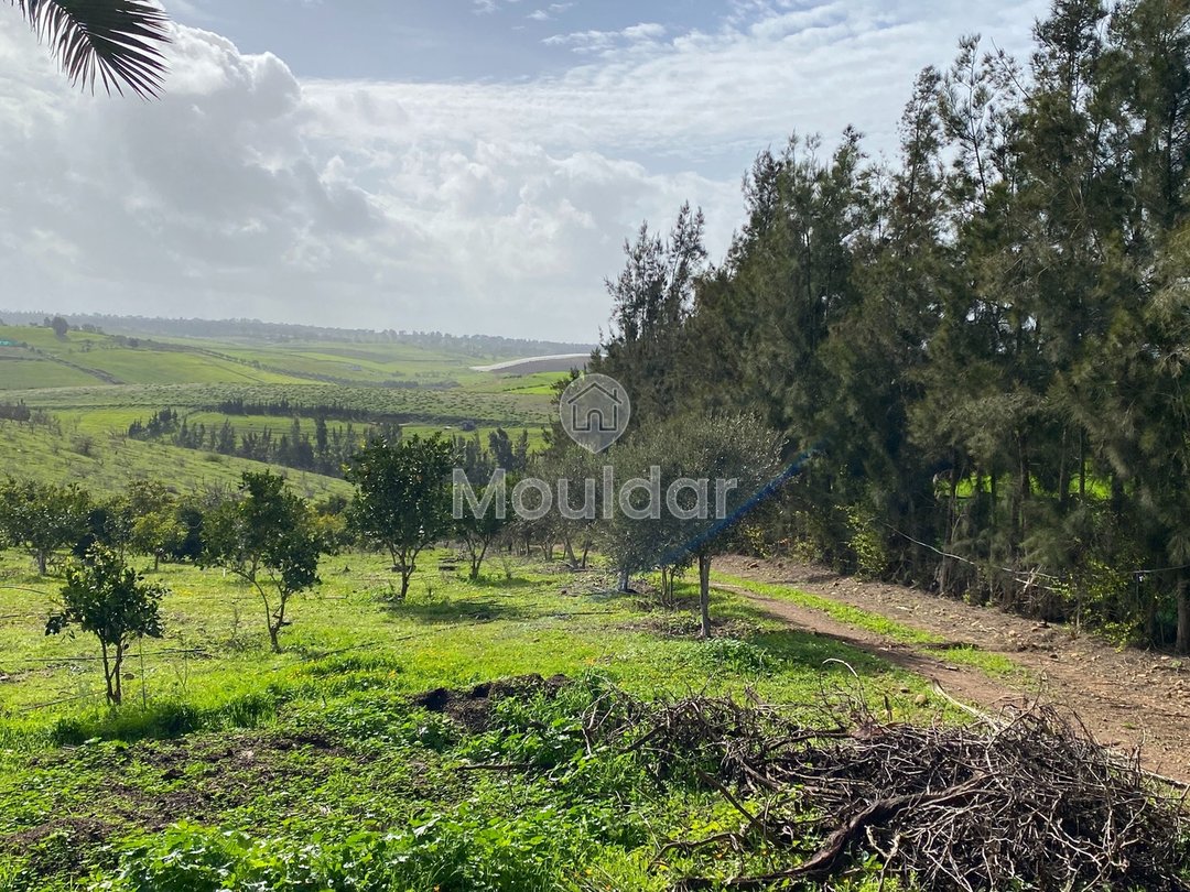 Ferma de vânzare în Rabat - Photo 3