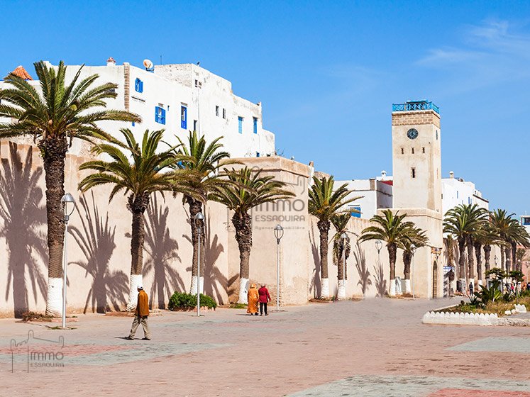 Vente Terrain Titré Face Mer à Essaouira – 360 - Photo 2