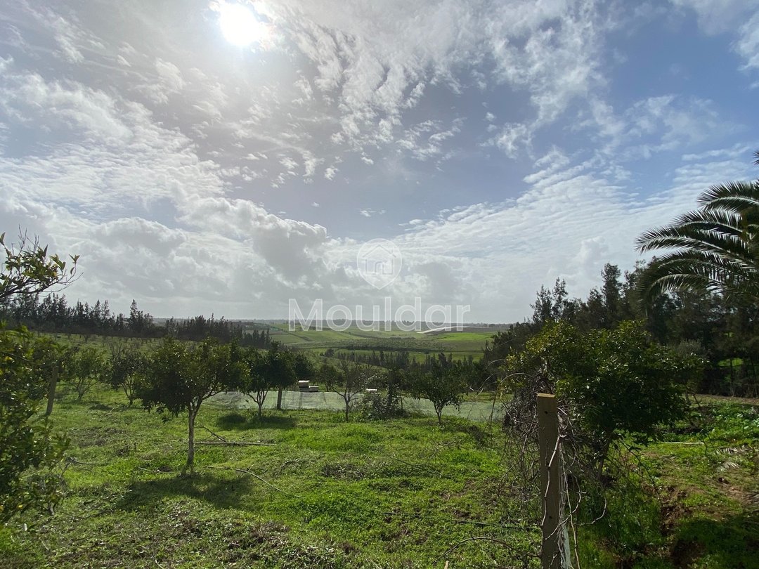 Ferma de vânzare în Rabat - Photo 10