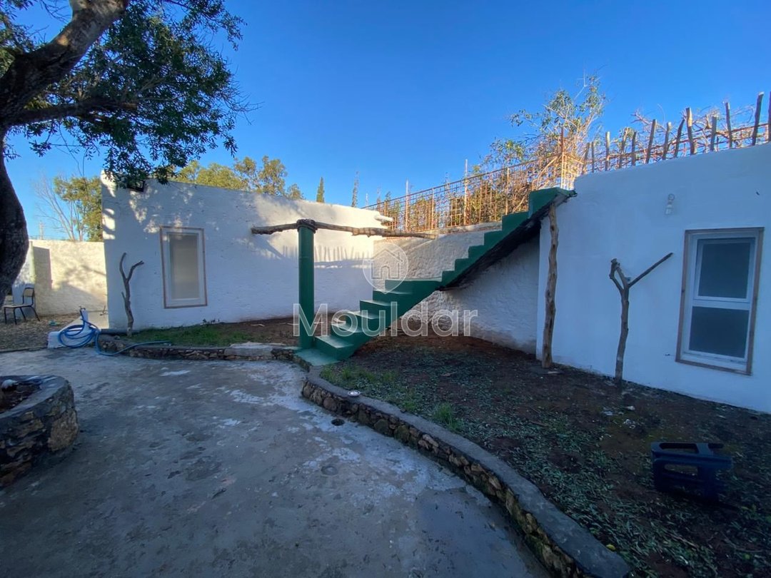 Haus zu vermieten in Essaouira - Photo 16