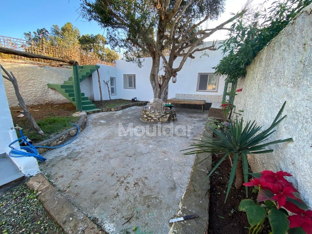 Haus zu vermieten in Essaouira - Photo 17