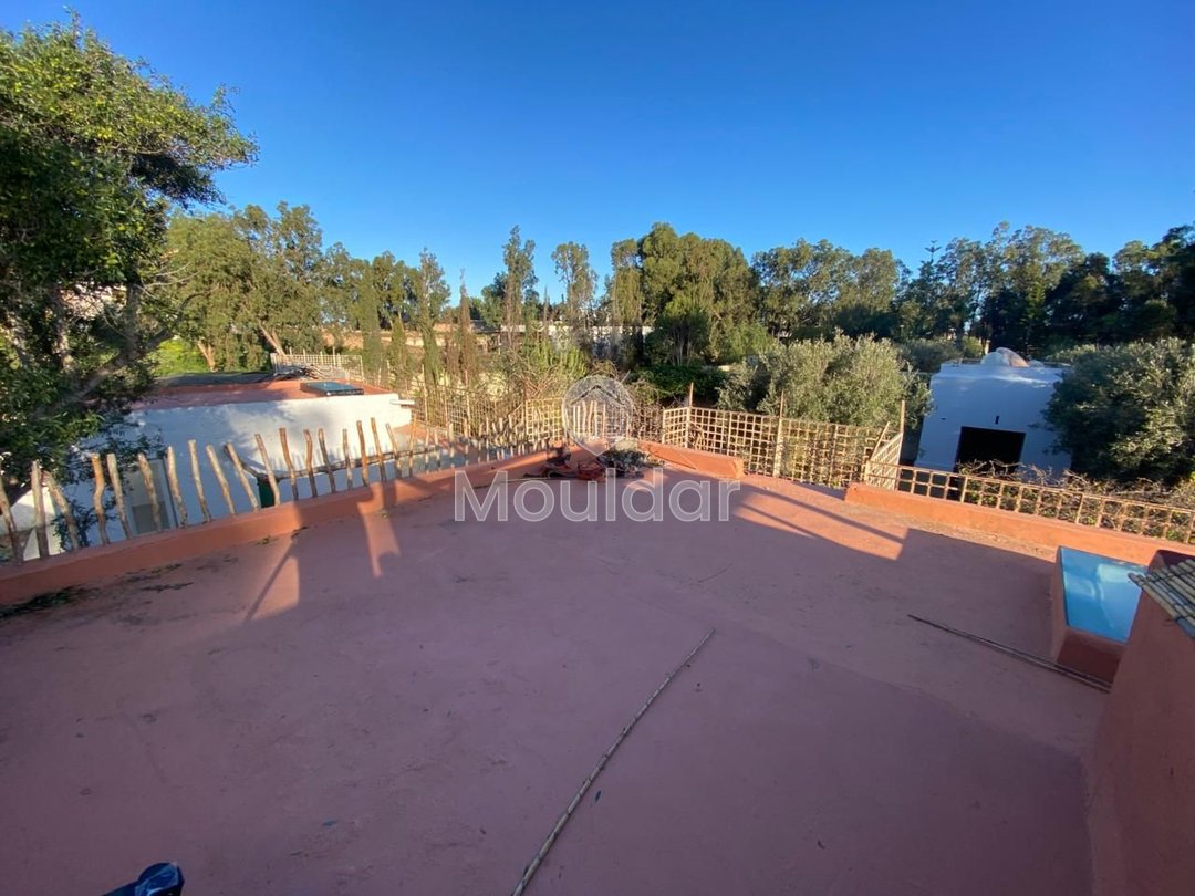 Haus zu vermieten in Essaouira - Photo 11