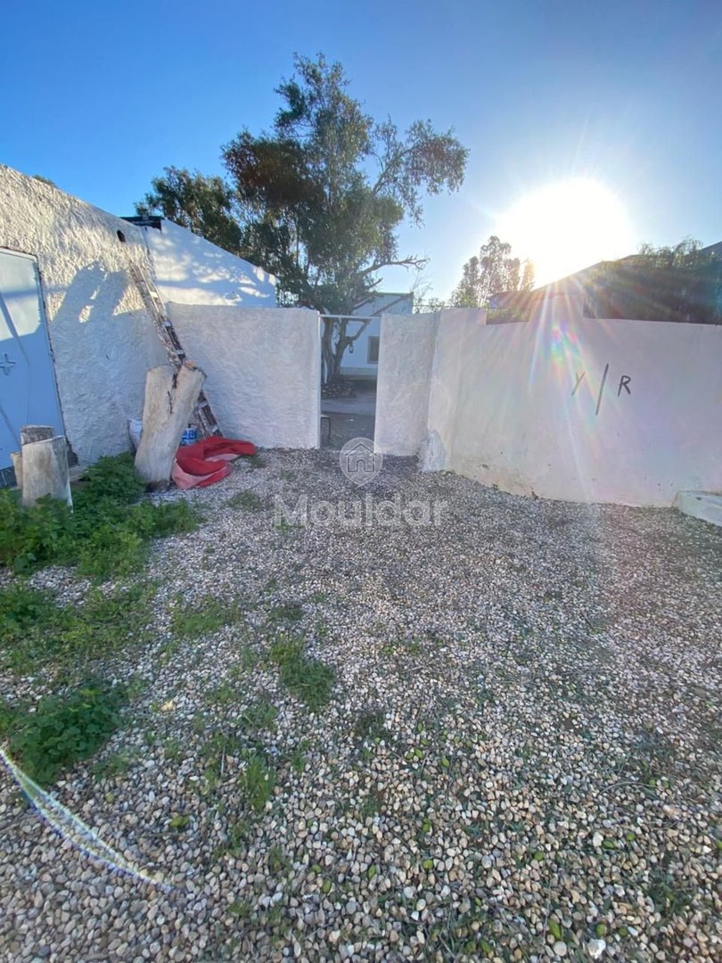 Haus zu vermieten in Essaouira - Photo 12