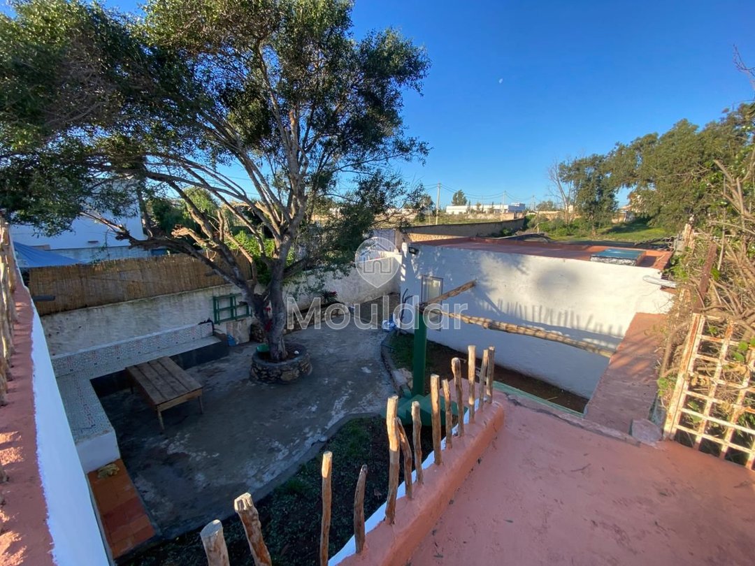 Haus zu vermieten in Essaouira - Photo 13