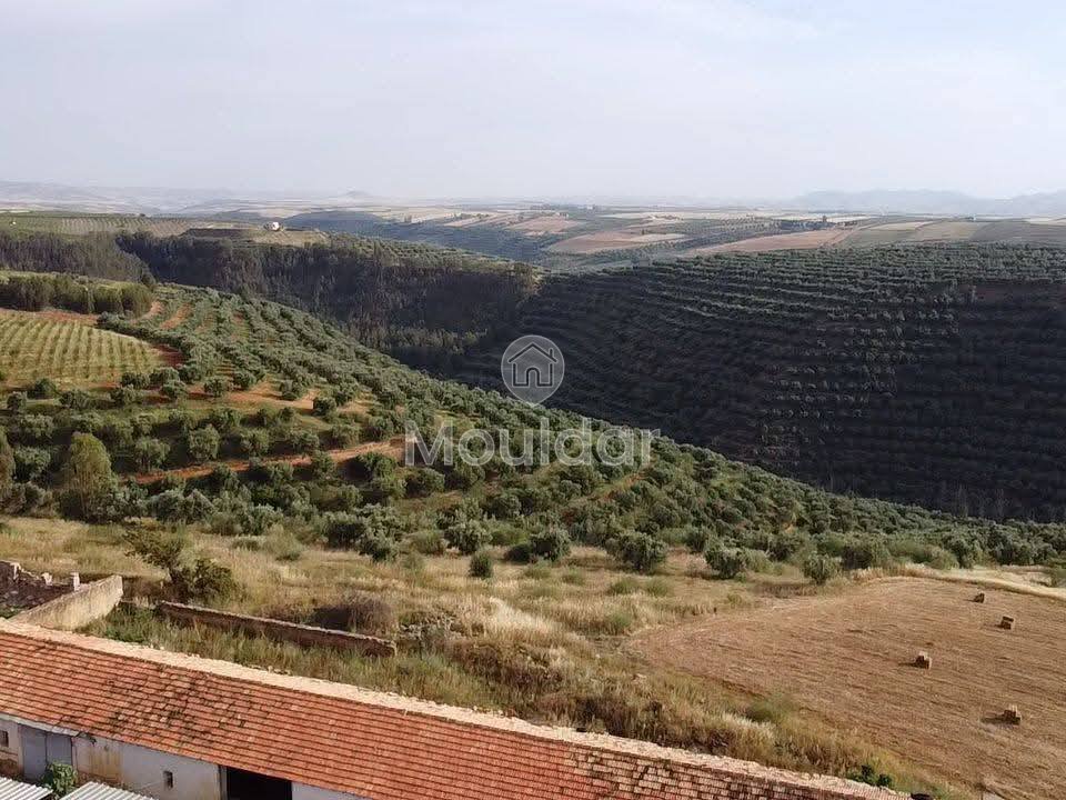 Ferma de vânzare în Meknès - Photo 10