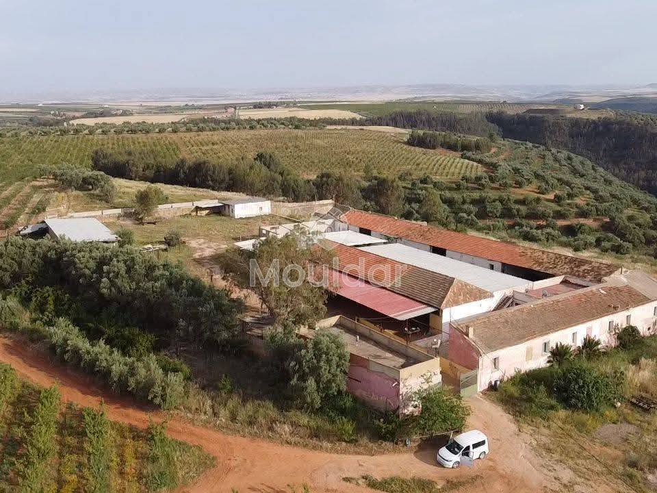 Ferma de vânzare în Meknès - Photo 7