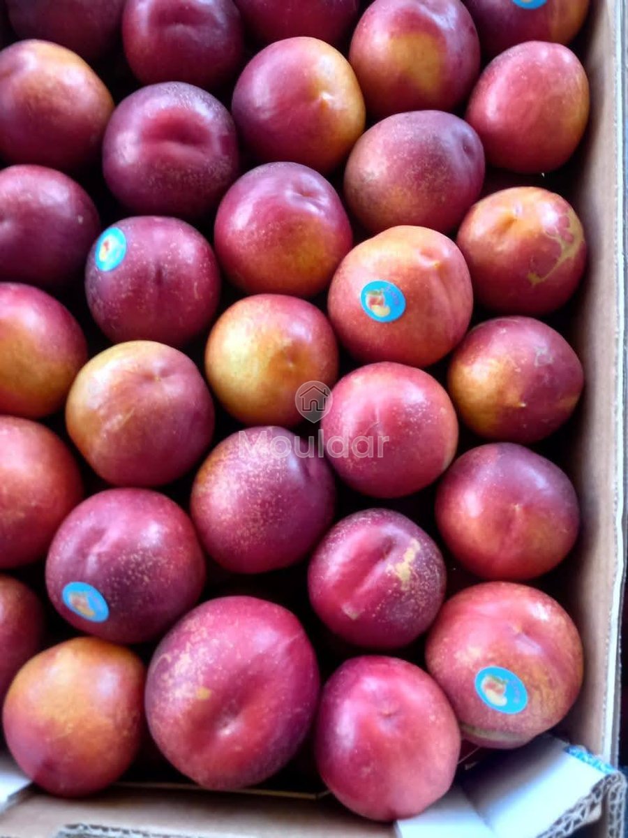 Ferma de vânzare în Meknès - Photo 12