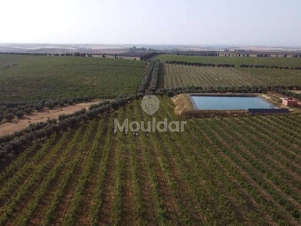 Ferma de vânzare în Meknès - Photo 9