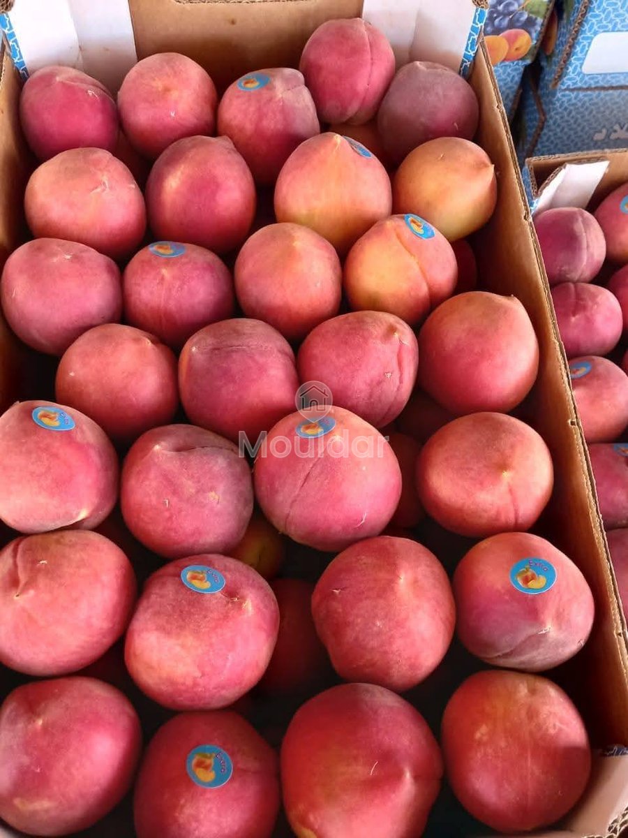 Ferma de vânzare în Meknès - Photo 13