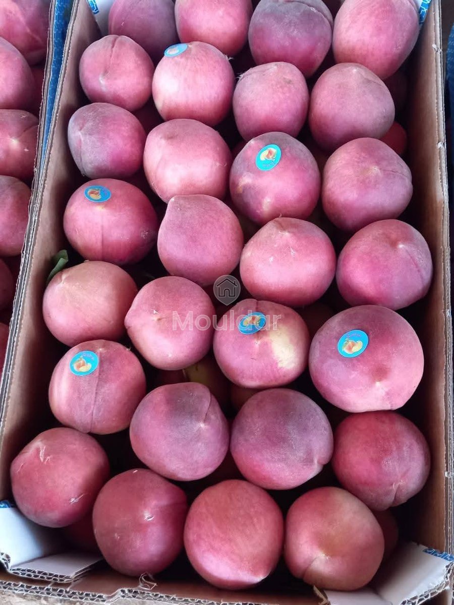 Ferma de vânzare în Meknès - Photo 8