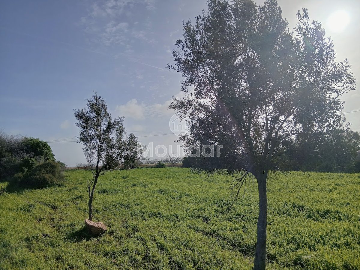 Te koop: terrein in Oulad Frej - Photo 5