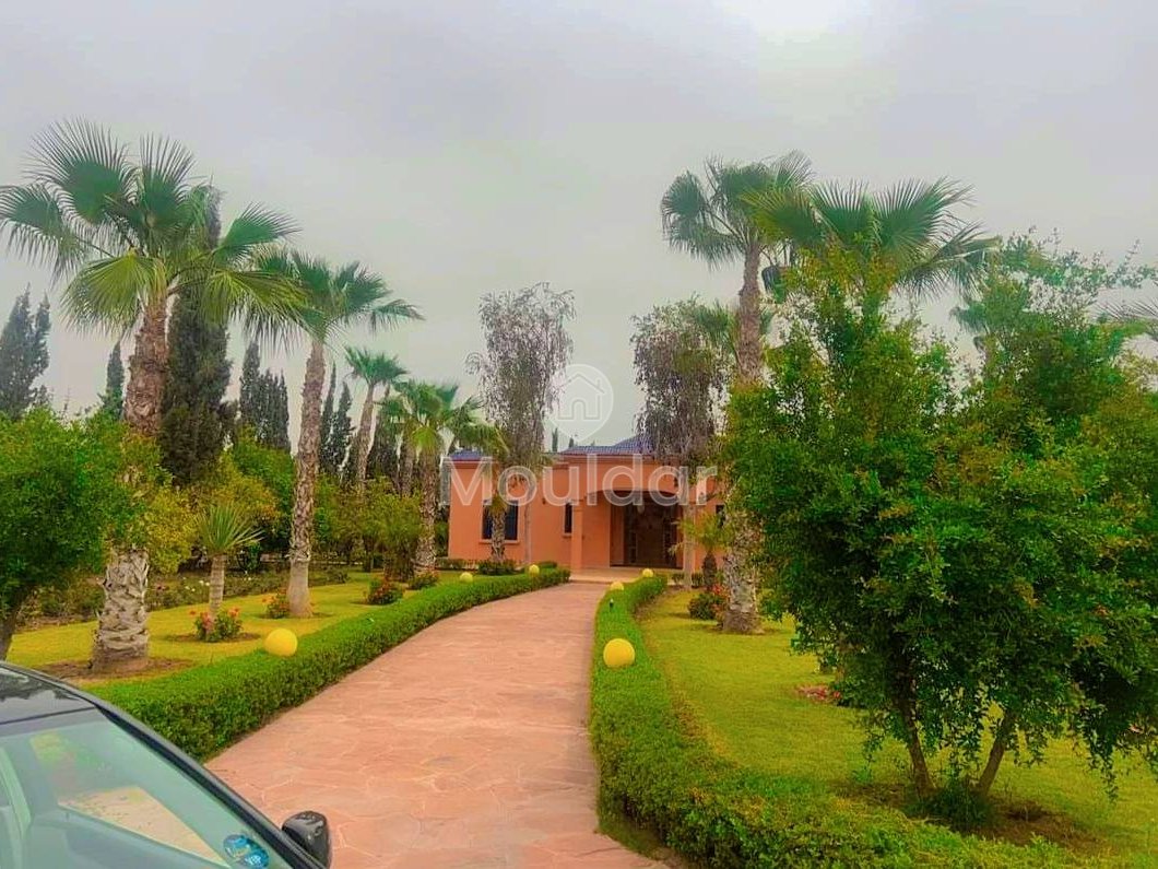 فيلا للإيجار في مراكش، طريق أكادير - الصويرة - Photo 8