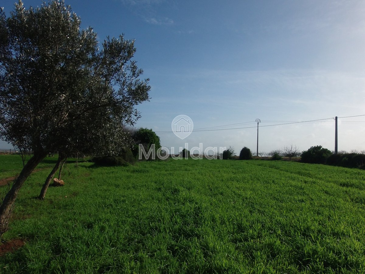 Te koop: terrein in Oulad Frej - Photo 3