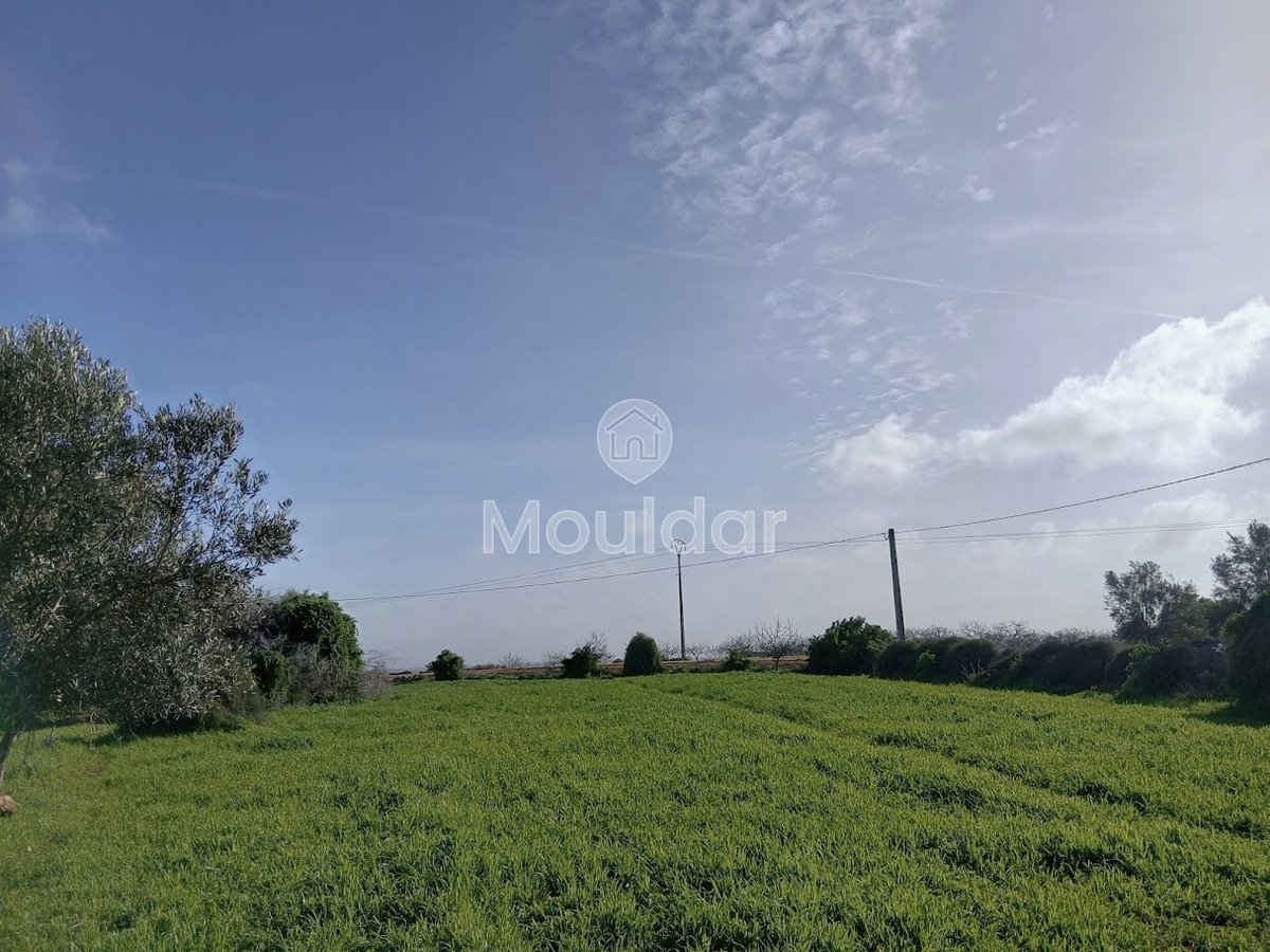 Te koop: terrein in Oulad Frej - Photo 1