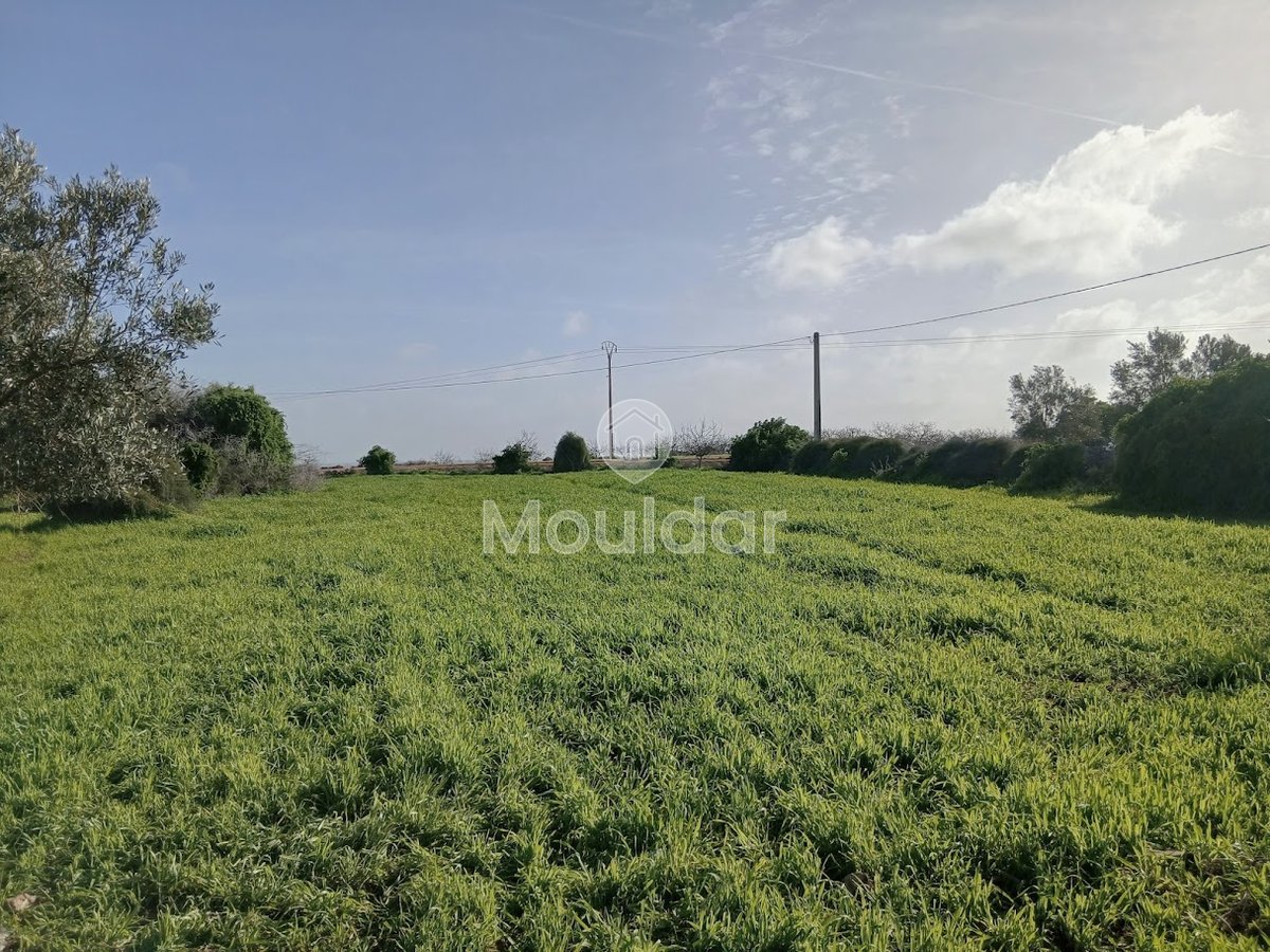 Te koop: terrein in Oulad Frej - Photo 2