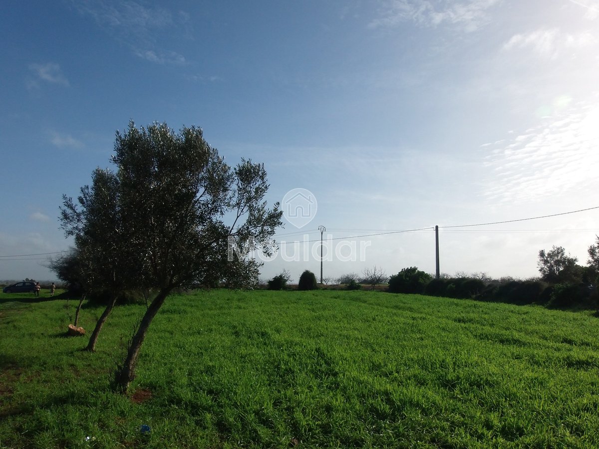 Te koop: terrein in Oulad Frej - Photo 4