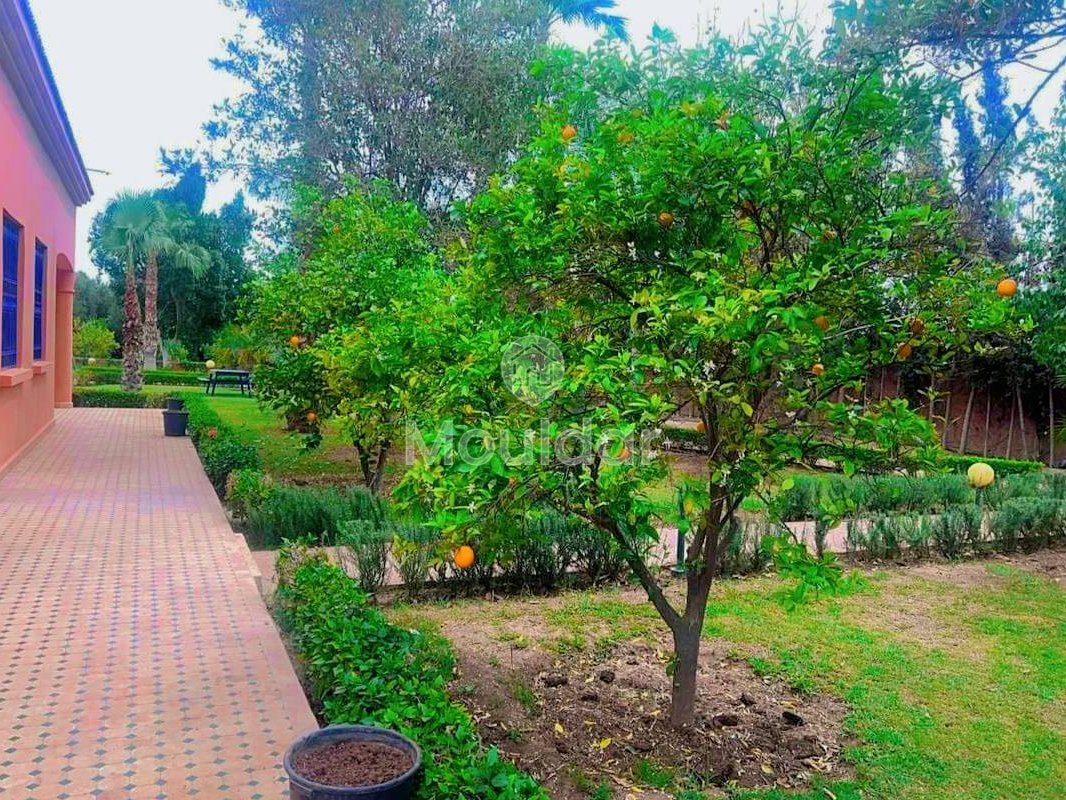 فيلا للإيجار في مراكش، طريق أكادير - الصويرة - Photo 12