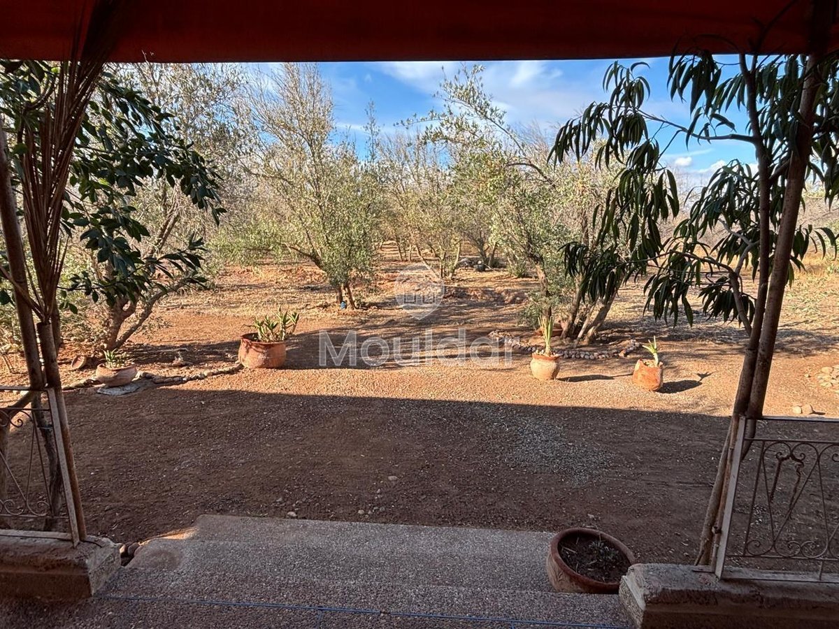 Villa à louer à Marrakech, Route de Fès - Photo 14