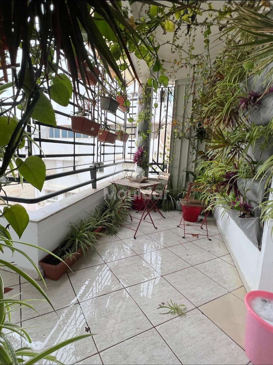 Mieszkanie na sprzedaż w Casablance, dzielnica Racine - Photo 8