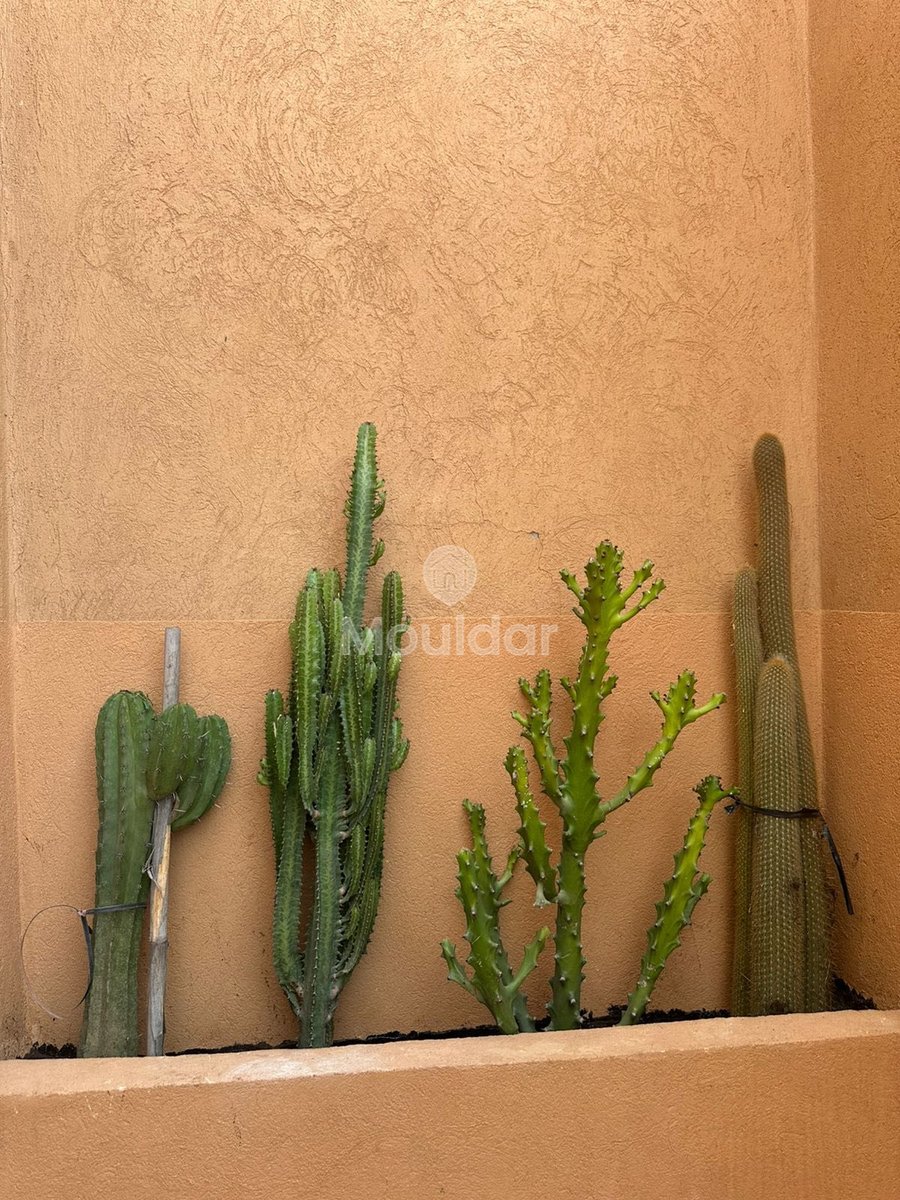 Appartement à louer à Guéliz, Marrakech - Photo 11