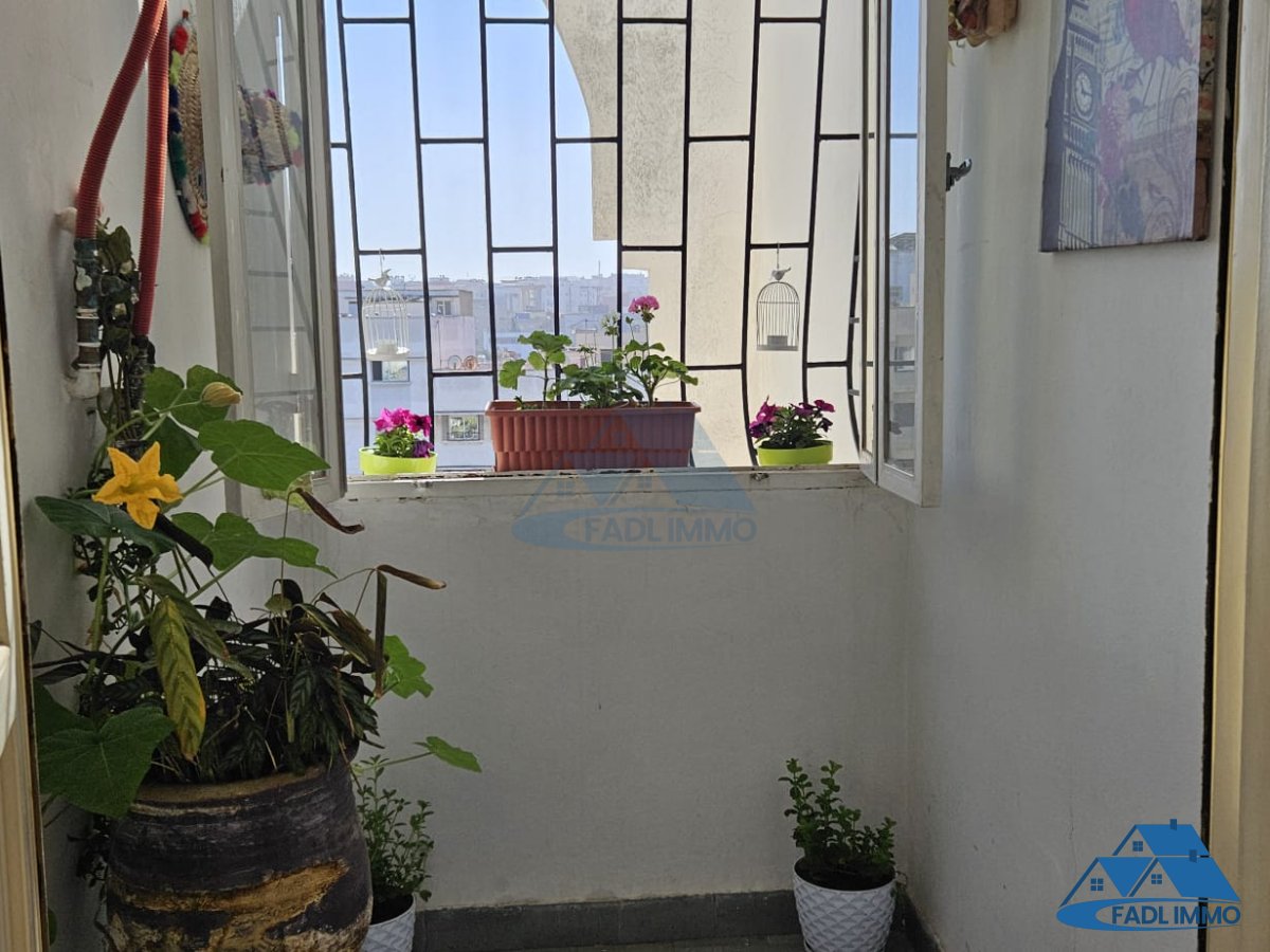 VENTA APARTAMENTO EN TEBRIQUET VENDIDO - Photo 3